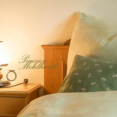 Mehlhartl Holiday home